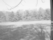 Field Surrounded by Trees