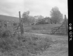Gate to Driveway