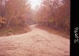 Dirt Road and Autumn Trees