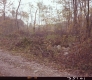 Dirt Road by Forest