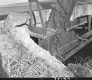 Close-Up of Bridge Beam