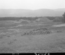 Sand and Log Piles
