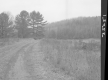 Dirt Road and Grass