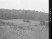 Fence in Meadow
