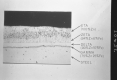 Sample Slide