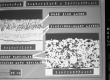 Sample Slide