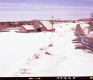Barn by Paved Road