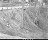 Slope by Paved Road