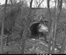 Tunnel Under Road