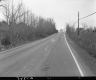 Thickets by Paved Road
