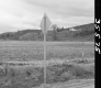 Traffic Sign by Paved Road