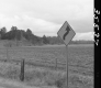 Traffic Sign by Paved Road