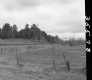 Wire Fence by Train Tracks and Field