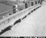 Guard Rail on Bridge