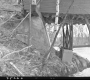 Bridge Support