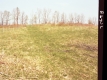 Trees on Slope