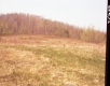 Slope and Trees