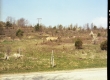Grass Area by Road