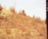 Slope with Plants