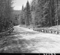 Dirt Road with Guard Rails
