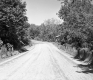 Fence by Dirt Road