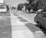 Sidewalk by Houses