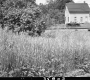 Grass by Train Tracks