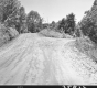 Fork in Paved Road