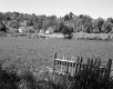Wood Fence by Lake