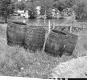 Barrels by River