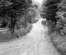 Dirt Road to Bridge