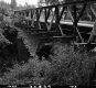 Bridge with Steel Rails