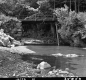 Wood Bridge over Creek