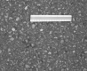 Ruler on Asphalt