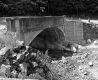 Concrete Bridge
