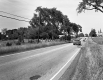 Cars on Paved Road
