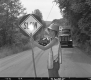Traffic Director