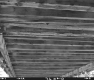 Bottom of Wooden Bridge