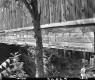 Side of Covered Bridge