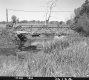 Bridge over River