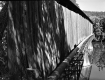 Side of Covered Bridge