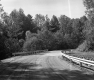 Unpaved Road with Bridge and Guardrails