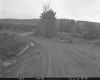 Bridge #88 Construction, Looking Easterly