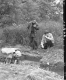 Archaeological Dig, Excavation Site Outside of Burlington, 4