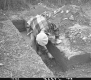 Archaeological Dig, Excavation Site Outside of Burlington, 5