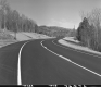 Trees Surrounding Paved Road