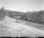 Wooded Hills by Road