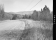 Grass and Flowers by Dirt Road