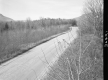 Dirt Road Surrounded by Trees