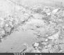 Creek Surrounded by Rocks